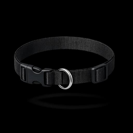 Standard nylon dog collar