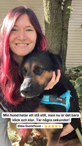 Dog wearing the Dog Control Pro harness